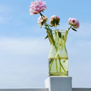 Axyaa Glass Hydroponic Vase for Home Decor and Flowers