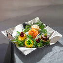 Axyaa Molecular Fusion Square Plate for Creative Dining