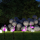Axyaa Flamingo Solar Stake Lights for Garden - Outdoor Lawn Decorations and Ornaments