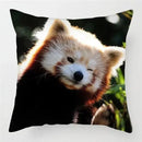 Axyaa Raccoon Wildlife Print Pillowcase for Home Bed Chair Decor