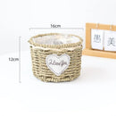 Axyaa Hand-woven Straw Flower Pots | Eco-Friendly Plant Fiber Baskets & Ornaments