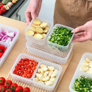 Axyaa Divided Food Storage Box for Onion Ginger Garlic with Handle