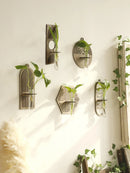 Axyaa Wood Wall Vase Green Plant Holder Home Decor Bouquet Tube Orb Decor