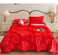 Axyaa Cloud Mink Velvet Cover Blanket - Milk Fiber Printed Blanket
