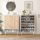 Axyaa 18 Pair Shoe Rack Cabinet with Door: Shoe Organizer for Living Room