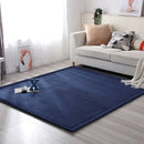 Axyaa Coral Fleece Soft Area Rug for Living Room, Bedroom, or Yoga Mat