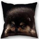 Axyaa Pomeranian Dog Pillowcase Cotton Linen Square Zipper 45X45cm Wedding Decor Pillow cover