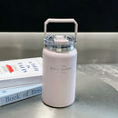 Axyaa Stainless Steel Vacuum Flask Insulated Cup with Handle, Straw, Cold&Hot Thermos Mug.