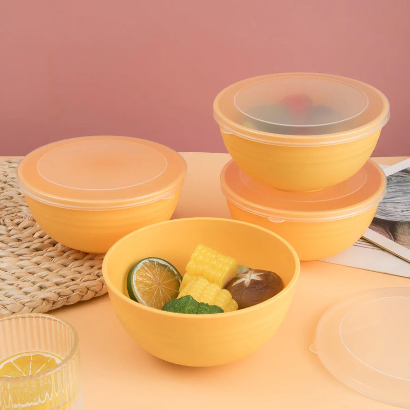 Axyaa 4pcs Bowl Set with Lid & Bento Box for Camping, Picnic, Kitchen Essentials