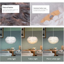Axyaa Feather Pendant Light Chandelier for Bedroom Living Room Dining Child's Room