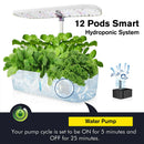 Axya Indoor Herb Garden Kit with Automatic LED Grow Lights & Smart Water Pump