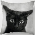 Axyaa  Black Cat Pillowcase  Decorative Square Cushion Cover 45*45cm