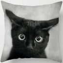 Axyaa  Black Cat Pillowcase  Decorative Square Cushion Cover 45*45cm