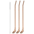 Axyaa Stainless Steel 2-in-1 Straw Spoon Set for Drinks & Coffee Cocktail Juice