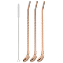 Axyaa Stainless Steel 2-in-1 Straw Spoon Set for Drinks & Coffee Cocktail Juice
