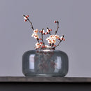 Axyaa Glass Vase Aromatherapy Bottle - Desktop Decor & Hydroponic Flower Pot