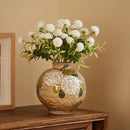 Axyaa Retro Ceramic Flower Vases & Hydroponic Living Room Arrangements