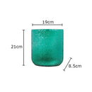 Axyaa Modern Glass Vase Hydroponic Flower Pot for Home Decor