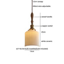Axyaa Minimalist LED Glass Pendant Light for Coffee Loft Decor