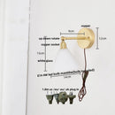 Axyaa Modern Clear Glass Wall Lights with Pull Chain Switch