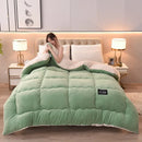 Axyaa Super Warm Lamb Wool Quilt - Winter Double-sided Velvet Blanket