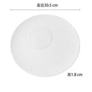 Axyaa White Ceramic Dinner Plate Set for Restaurants: Main Dish, Steak, Sushi & More
