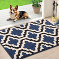 Axyaa Washable Indoor Entryway Door Mat Non-Slip Absorbent Resist Dirt Floor Mat