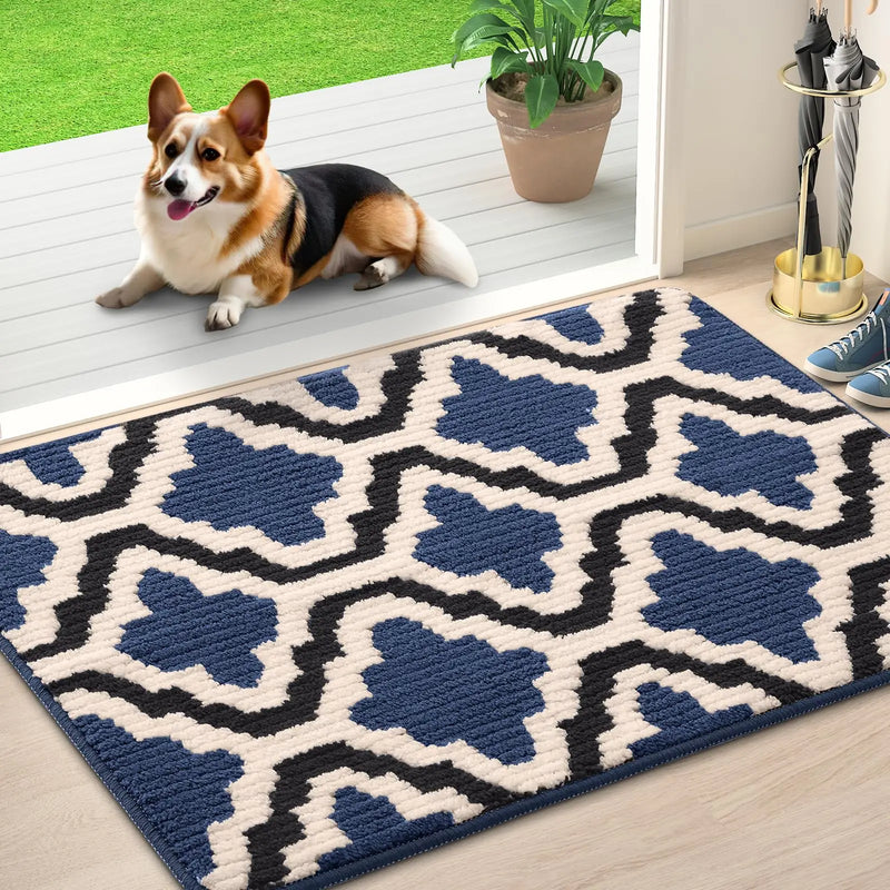 Axyaa Washable Indoor Entryway Door Mat Non-Slip Absorbent Resist Dirt Floor Mat
