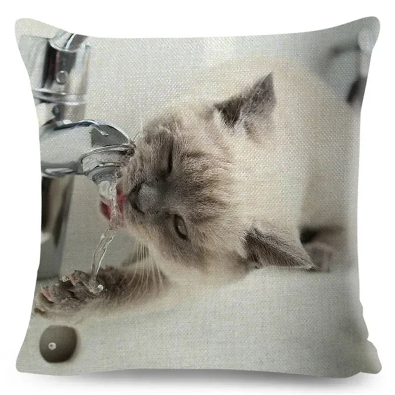 Axyaa Fold Ear Cat Pillow Covers - Set of 2 Cute Pet Pillowcases