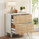 Axyaa 2-Drawer Lateral File Cabinet for Office Storage and Organization