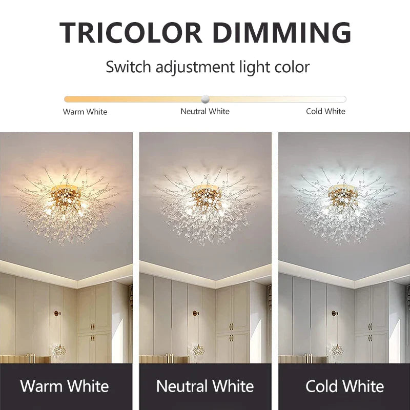 Axyaa Nordic LED Crystal Chandelier Ceiling Light for Home Decor