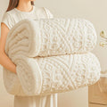 Axyaa Winter Sherpa Blanket: Double Layer Plush Fleece Quilt for Warmth & Comfort