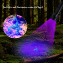 Axya Ultraviolet Torch Inspection Lamp for Pet Urine Detection