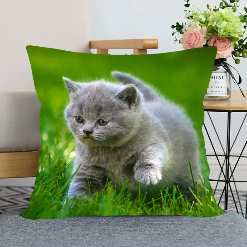 Cute Cat Print Pillowcase by Axyaa - Perfect for Home, Car, and Sofa