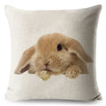 Axyaa Bunny Linen Cushion Cover - Cute Rabbit Throw Pillowcase - Home Decor