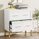 Axyaa 2 Drawer Lateral File Cabinet for Letter/Legal/A4 Size, Modern Office Storage