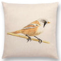 Birds Painting Cushion Cover - Axyaa Collection: Robin, Titmouse, Toucan, Sparrow, Firecrest, Cardinal, Bullfinch