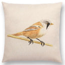 Birds Painting Cushion Cover - Axyaa Collection: Robin, Titmouse, Toucan, Sparrow, Firecrest, Cardinal, Bullfinch