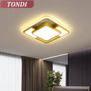 Axyaa Modern LED Ceiling Chandelier for Living and Dining Room Decor