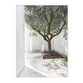 Axyaa Canvas Poster Painting: Olive Green Leaf Tree Wall Art Print Ancient Architecture Puglia