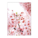 Axyaa Floral Wall Art Canvas Painting Nordic Posters for Living Room Decor