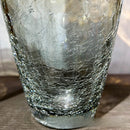 Axyaa Glass Vase: Elegant Living Room Decor & Flower Arrangement
