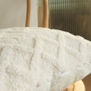 Axyaa Plush Fleece Cushion Cover for Cozy Living Room Decor