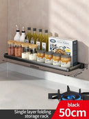 Axyaa Kitchen Storage Rack Fridge Organizer Clear Tray Food Spice Organizer