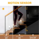 Axyaa Motion Sensor Dimmable LED Night Light EU Plug for Bedroom and Corridor
