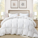 Axyaa Luxury Queen Size Down Feather Comforter - All Season Fluffy Duvet Insert