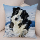Scottish Border Collie Pillowcase - Axyaa Dog Print Decor Cushion Cover