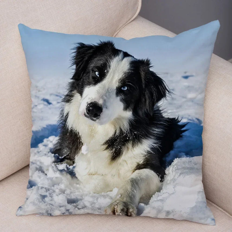 Scottish Border Collie Pillowcase - Axyaa Dog Print Decor Cushion Cover