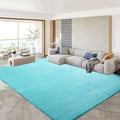 Axyaa Gray Coral Fleece Living Room Rug for Sofa, Coffee Table, Kids Bedroom