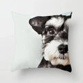 Axyaa Spectacle Dog Print Pillow Cover 45x45CM